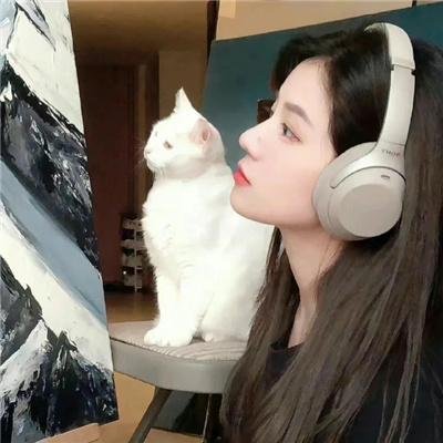 圣诞精灵